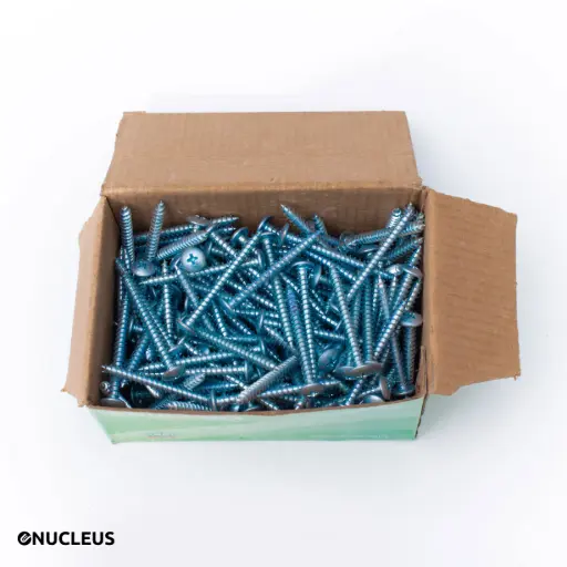 [#GN-VI-238] VIS BLANCHE / Grandes vis à tête plate 5*50 