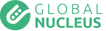 Global Nucleus